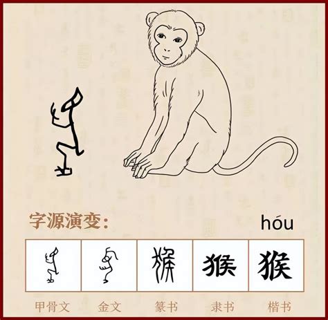 猴字|猴的解释